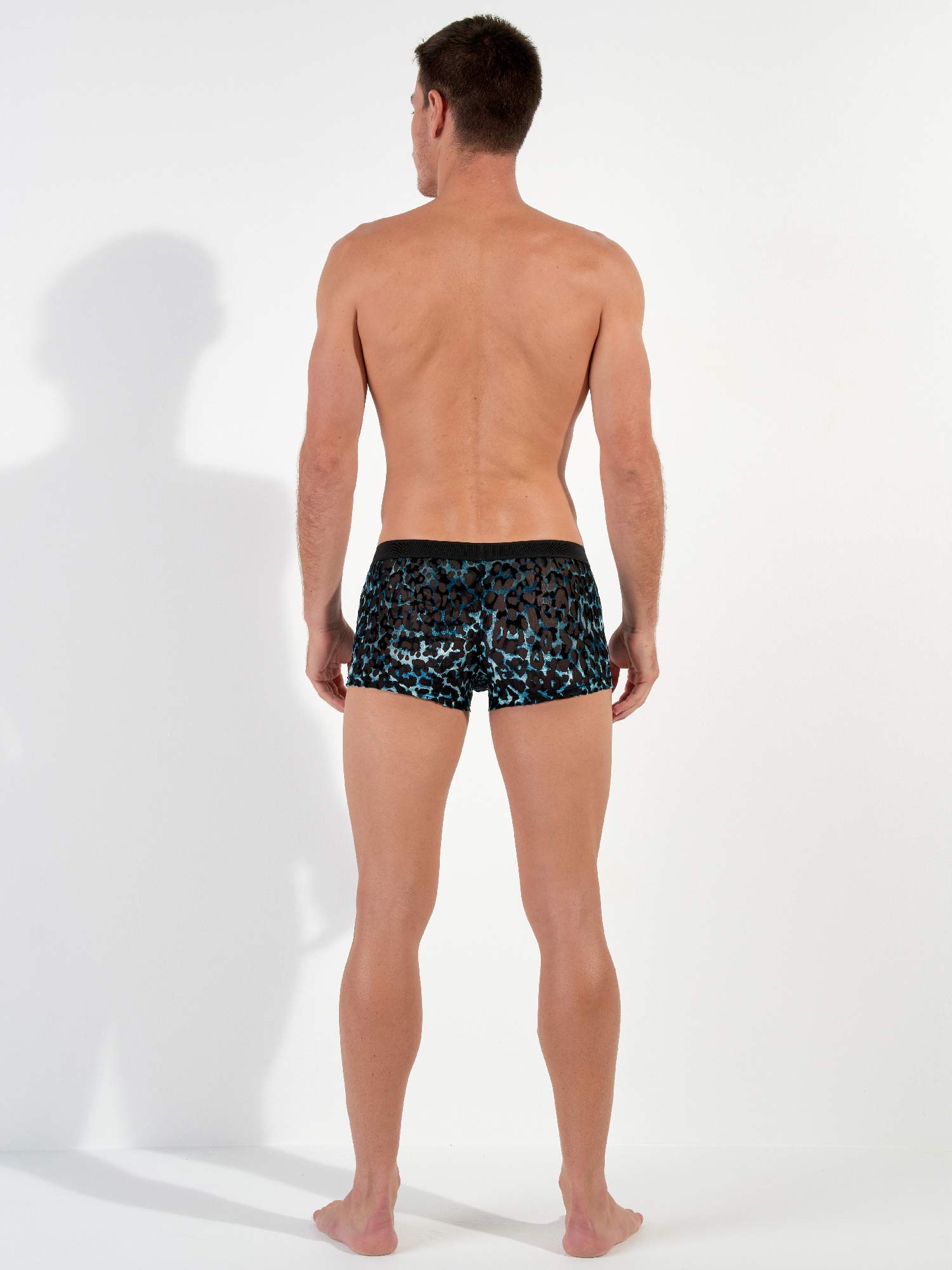 Trunk - Leopard Trunk - Leopard
