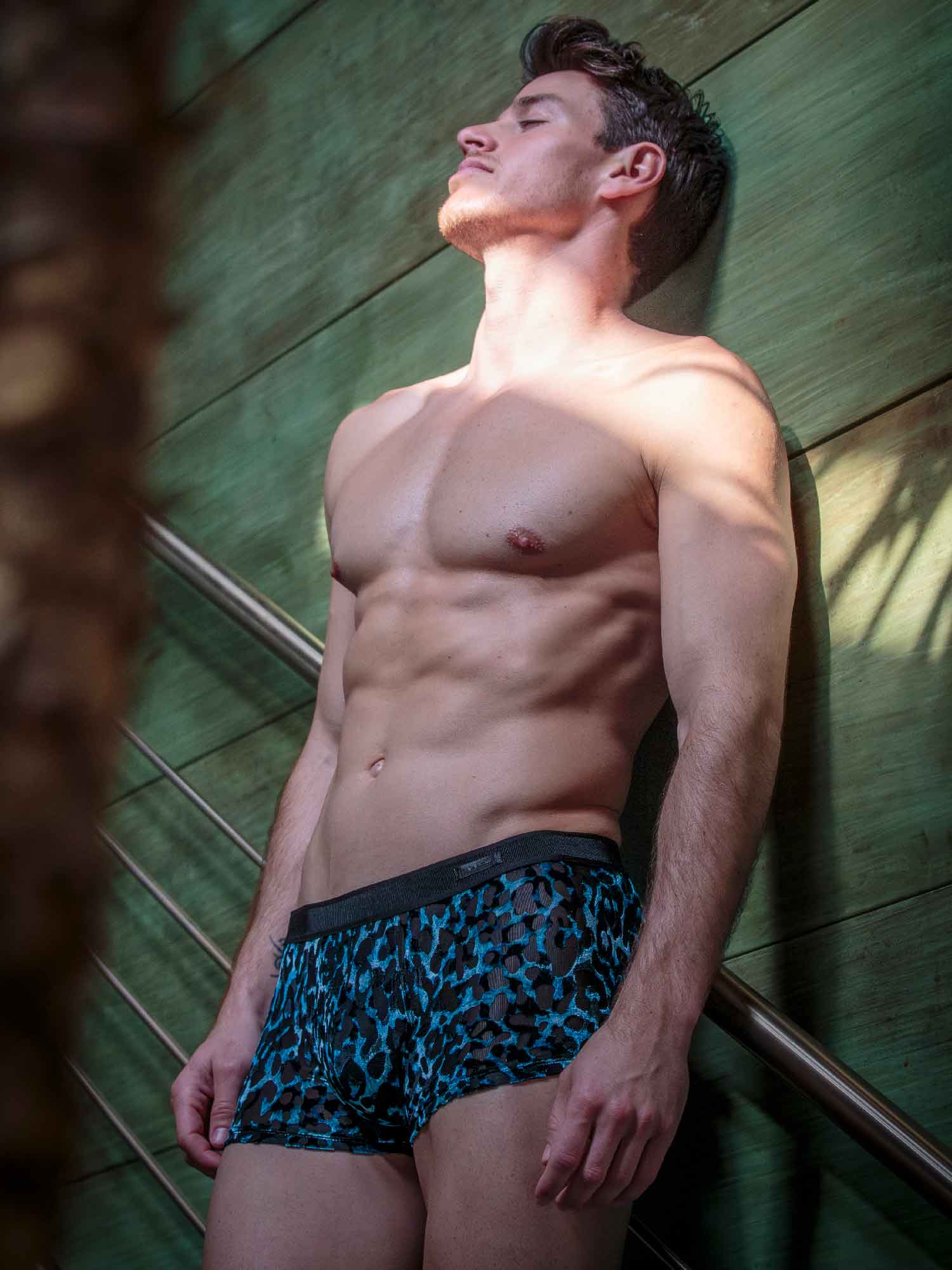 Trunk - Leopard Trunk - Leopard