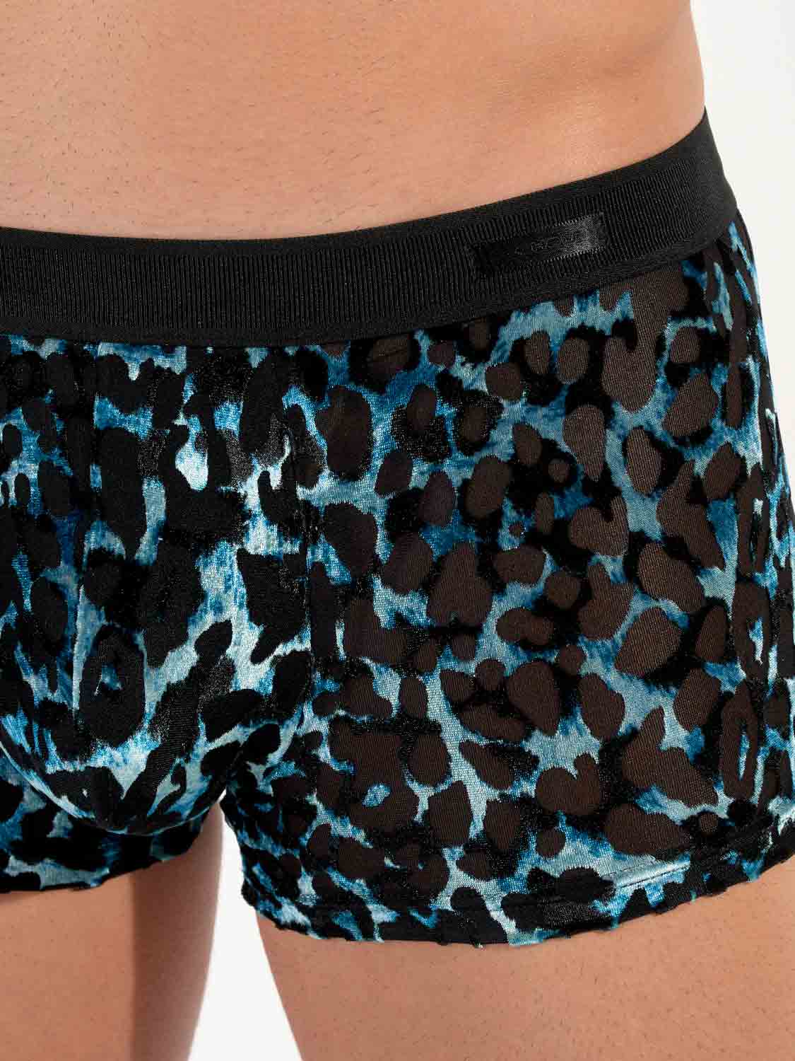 Trunk - Leopard Trunk - Leopard