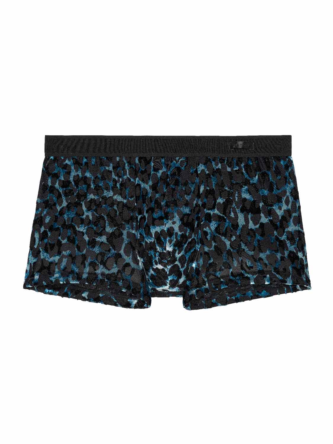 Trunk - Leopard Trunk - Leopard